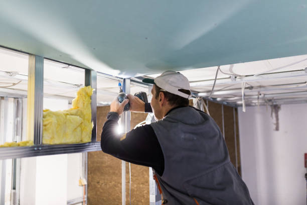 Best Local Insulation Services  in Lorton, VA